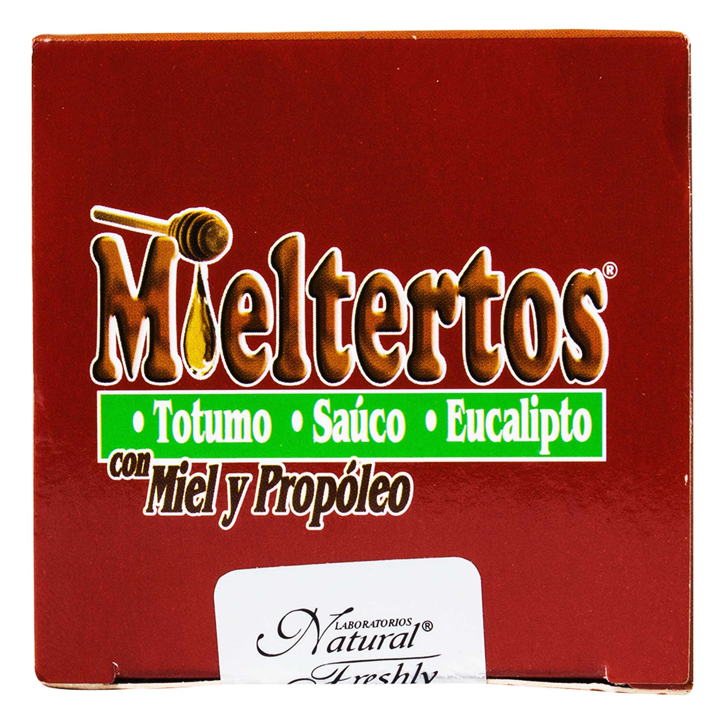MIELTERTOS JARABE  PROPOLEO *240 ML 3