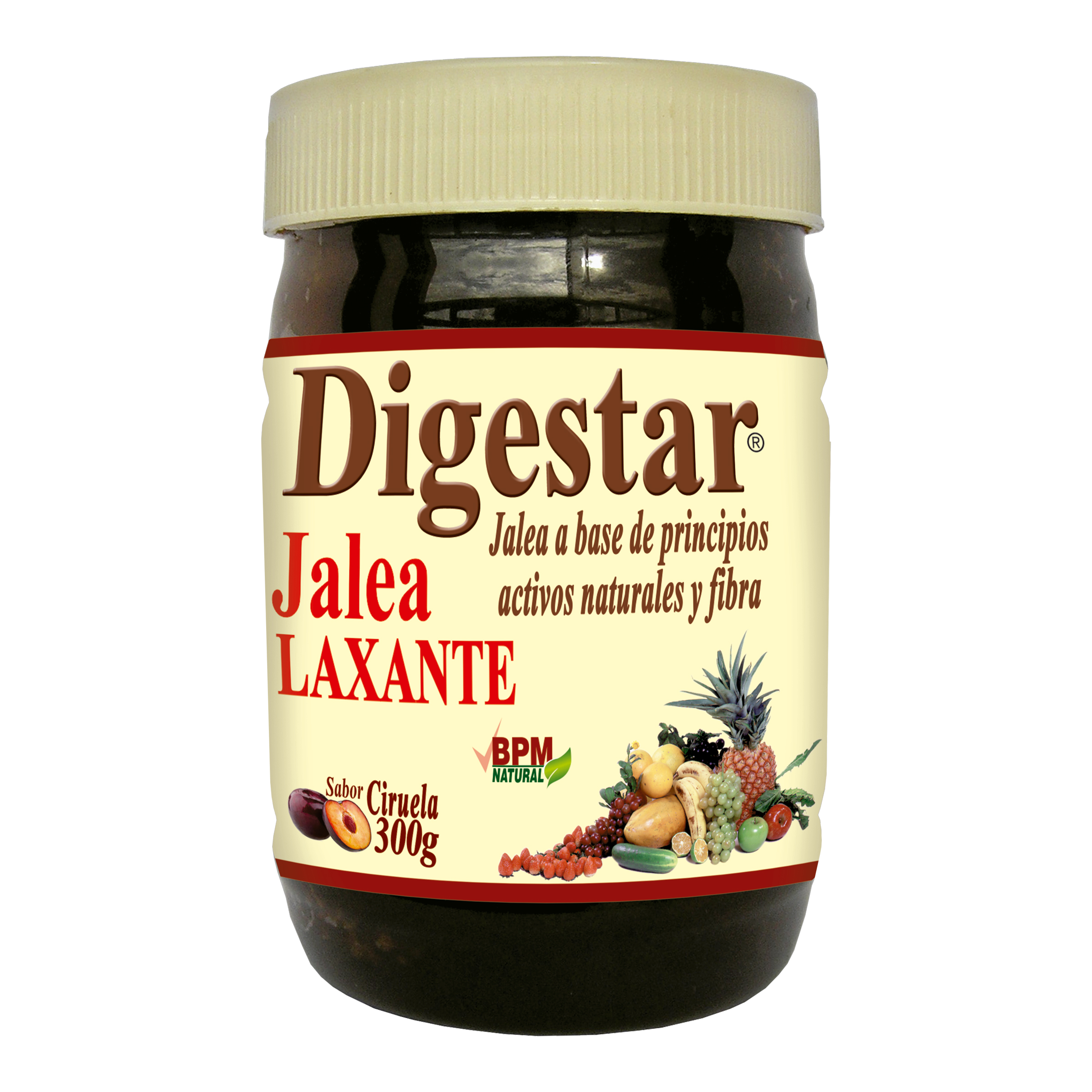 DIGESTAR JALEA FRASCO X 300GR