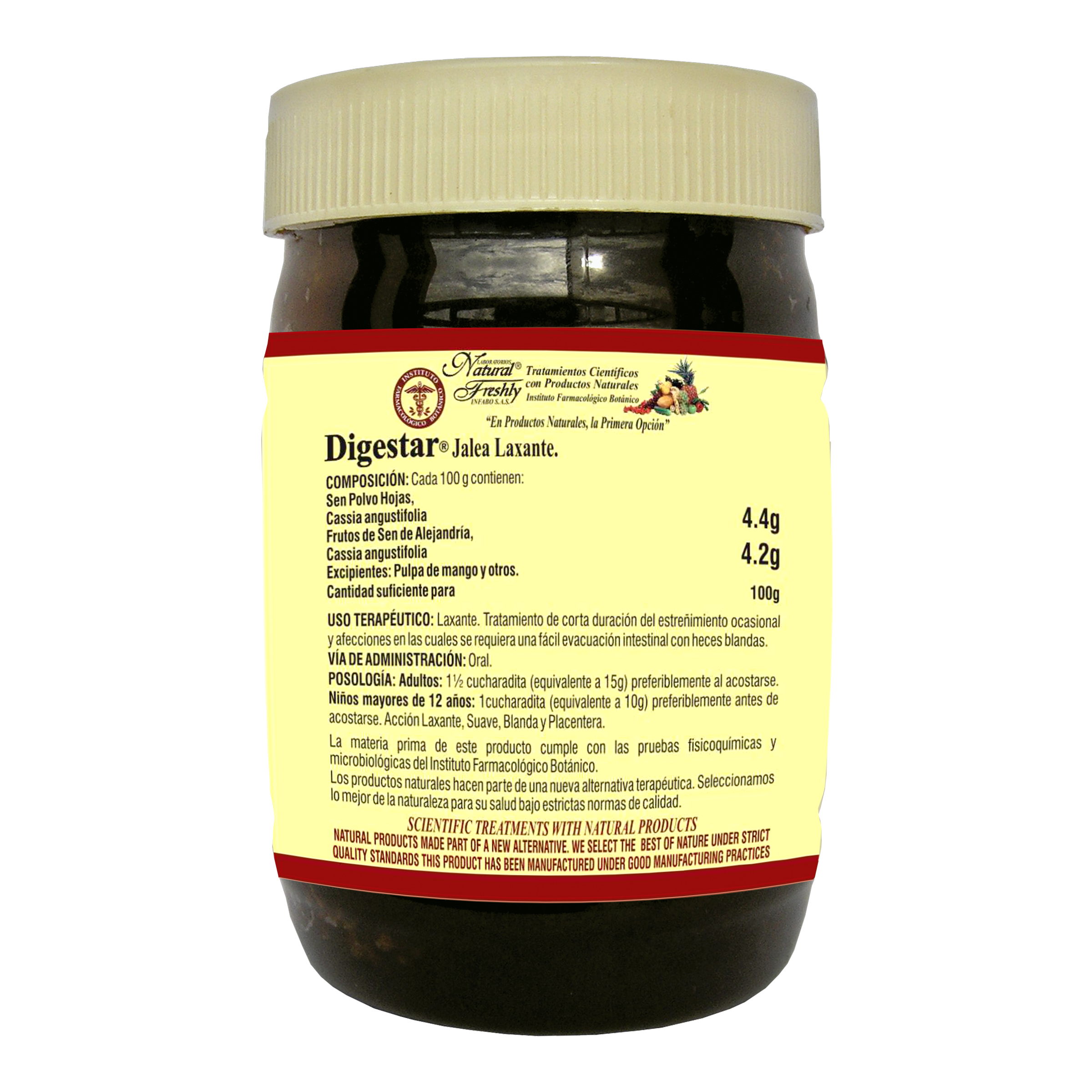 DIGESTAR JALEA FRASCO X 300GR 2